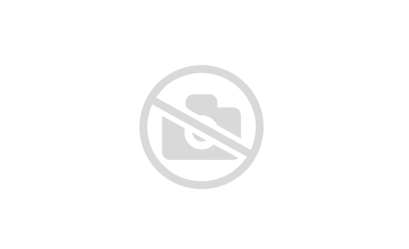 Квадроцикл (игрушка) MOTOLAND (МОТОЛЕНД) ATV E009 1000Вт